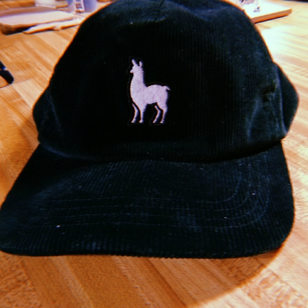 Urban Outfitters Hat